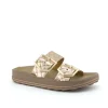 Fantasy Taylor Rose Gold Softy